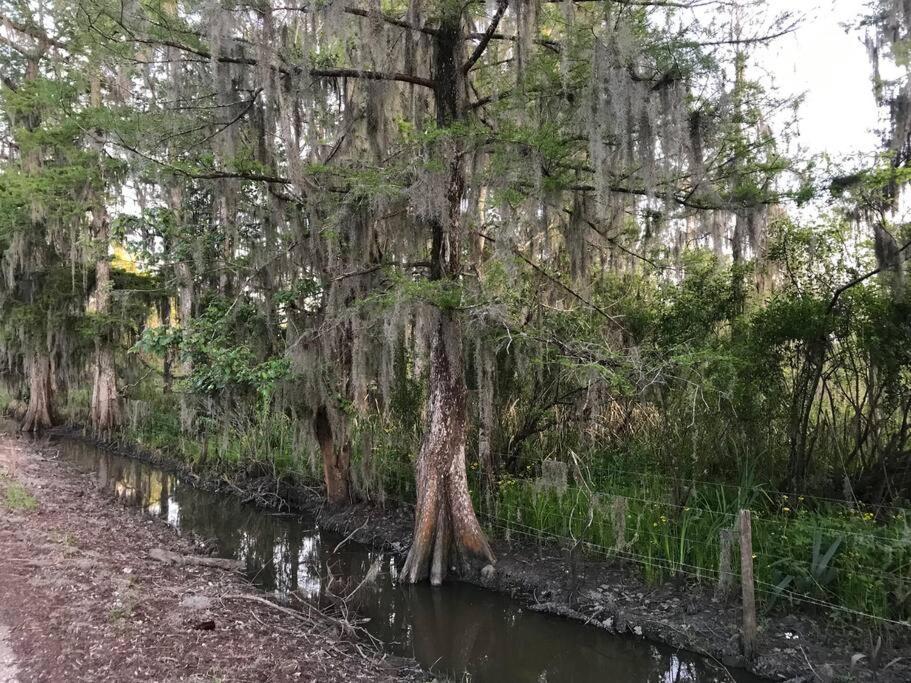 La Maison Du Bayou Petite Anse Near Avery Island ニューアイビーリア エクステリア 写真