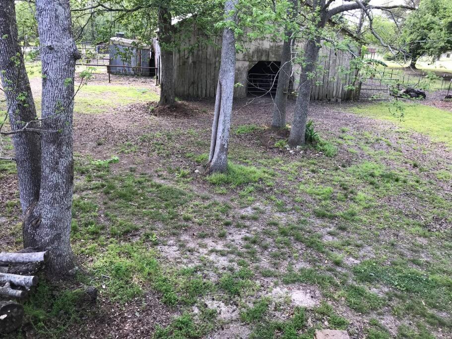 La Maison Du Bayou Petite Anse Near Avery Island ニューアイビーリア エクステリア 写真