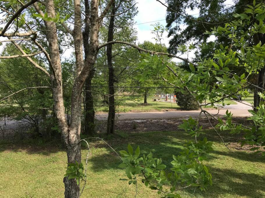 La Maison Du Bayou Petite Anse Near Avery Island ニューアイビーリア エクステリア 写真